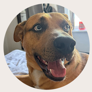 Hugo | Forever Pets
